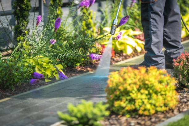 Cave City, AR  Pressure Washing Services Company